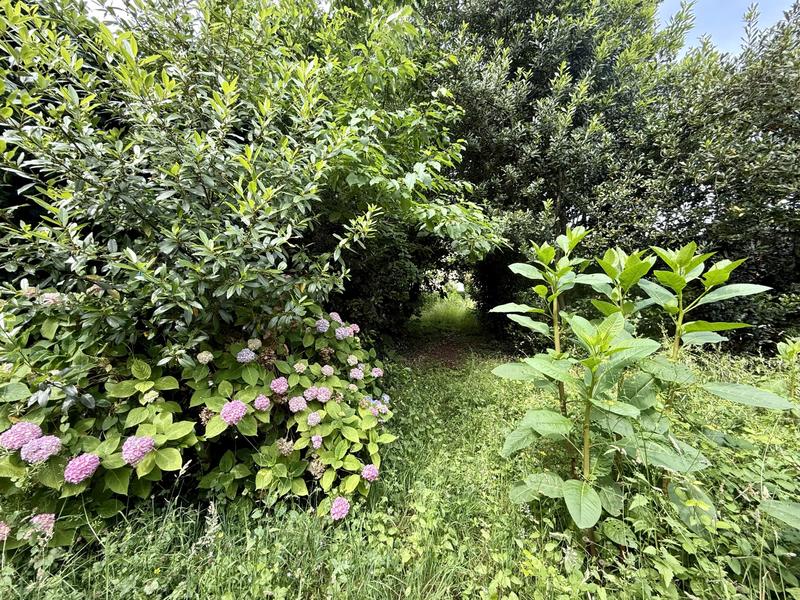 Maison - 300 m² - 12 pièces