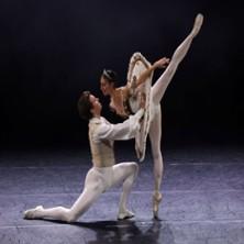 La Belle au Bois Dormant