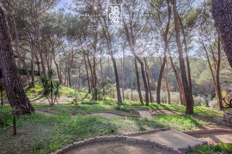 Terrain de loisirs - 7 103 m²