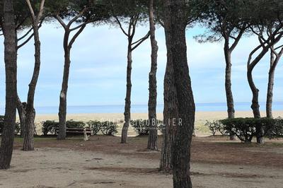 Appartement - 46 m² - 3 pièces