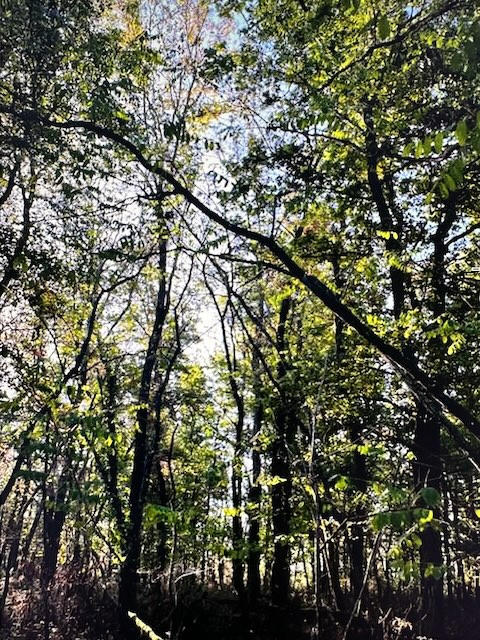 Terrain agricole - 79 305 m²