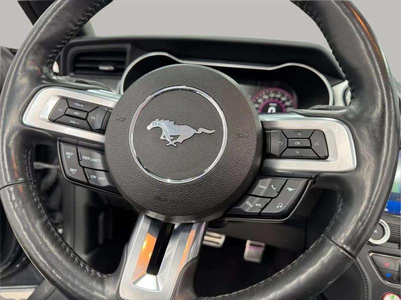 Ford Mustang Gt 5.0 V8 Premium Cabrio/Shelby Gt-