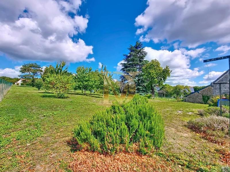 Château - 110 m² - 4 pièces