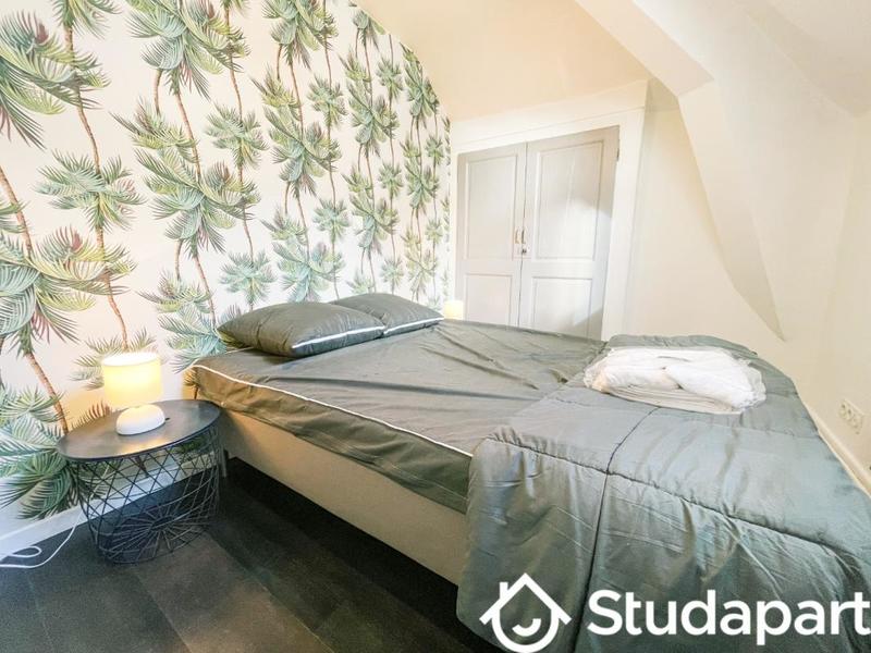 Appartement - 45 m² - 3 pièces