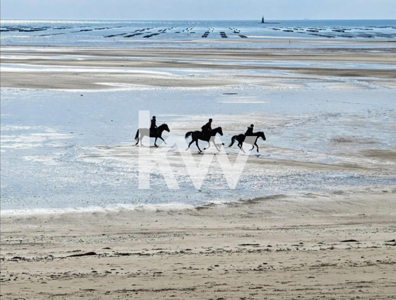 Maison - 220 m² - 7 pièces