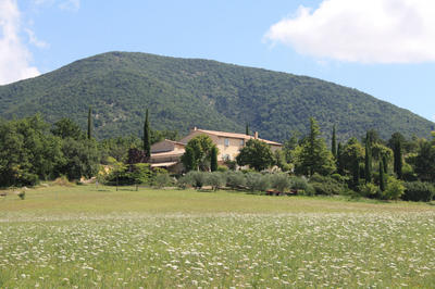 Maison - 364 m² - 11 pièces