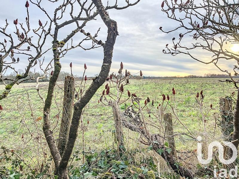 Maison de campagne - 74 m² - 3 pièces