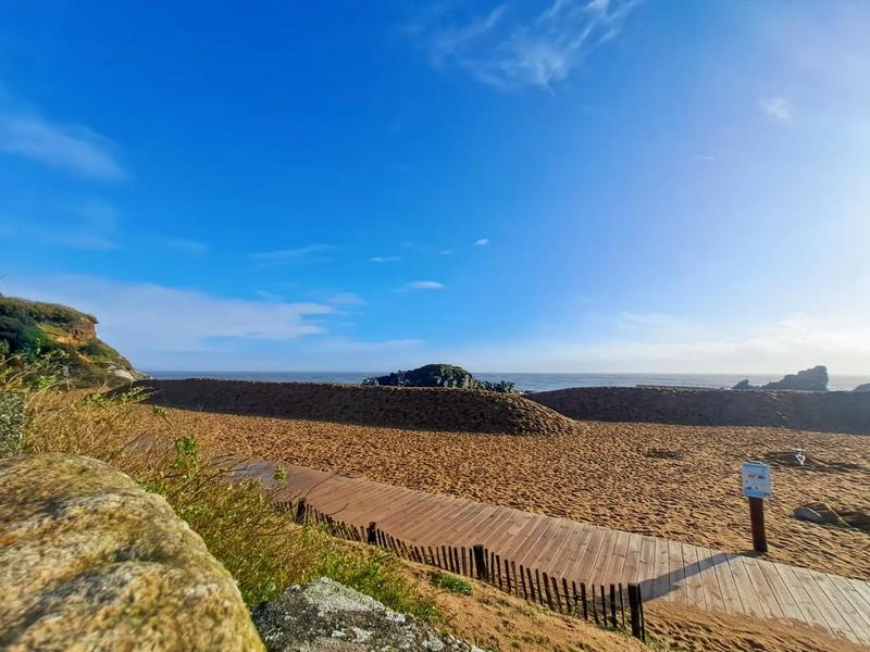 Appartement - 50 m² - 3 pièces