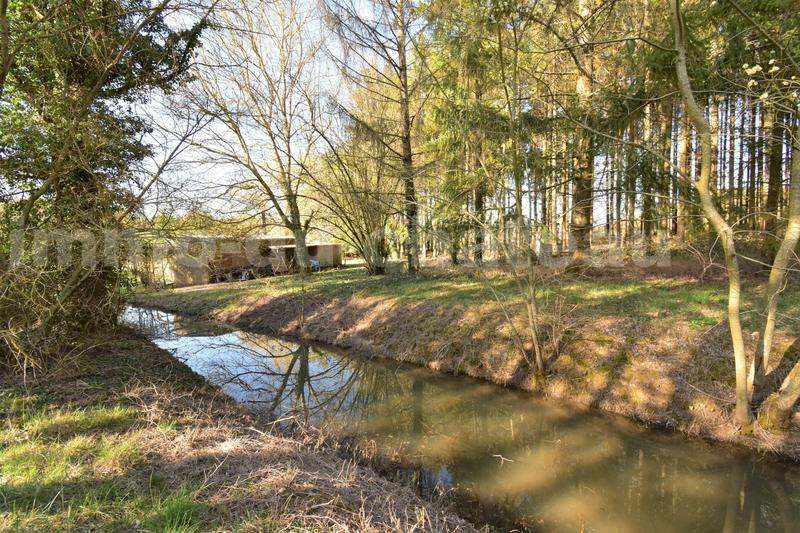 Terrain - 17 000 m²