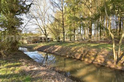 Terrain - 17 000 m²