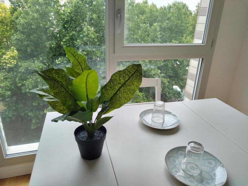 Appartement - 32 m² - 1 pièce