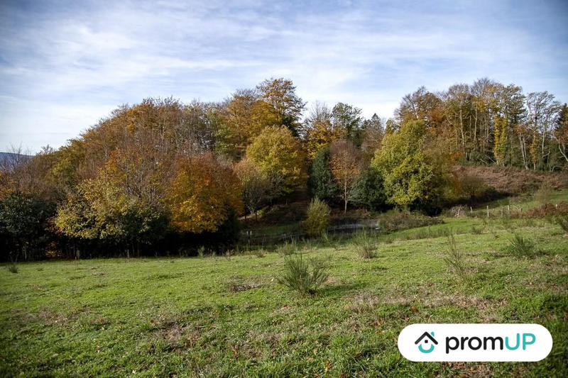Terrain agricole - 30 568 m²