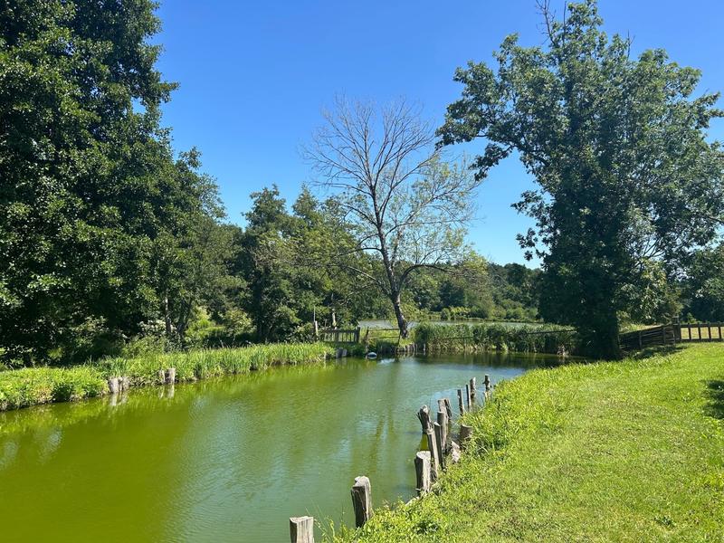 Maison - 371 m² - 7 pièces