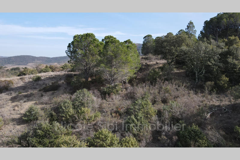 Terrain agricole - 1 730 m²