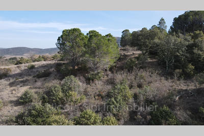 Terrain agricole - 1 730 m²