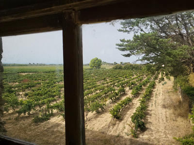 Maison - 436 m² - 15 pièces