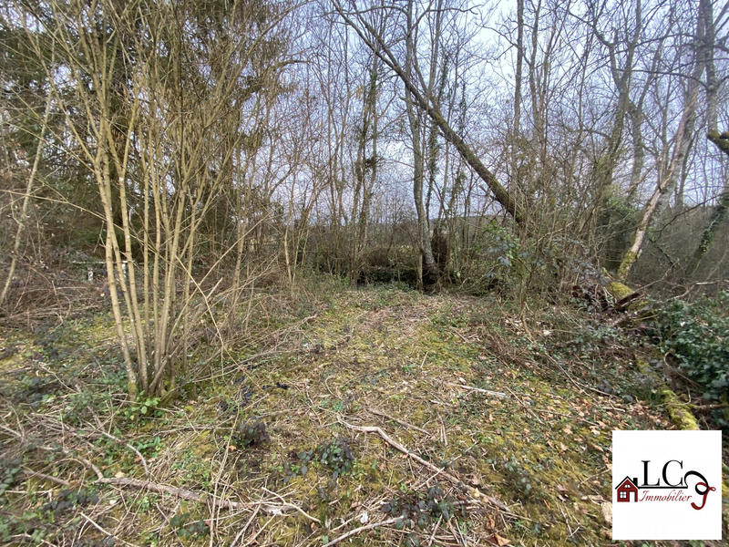 Maison ancienne - 150 m² - 3 pièces