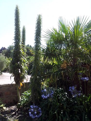 Les Bruyères d'Erquy