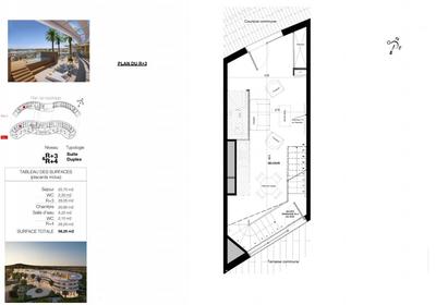 Appartement - 56 m² - 2 pièces