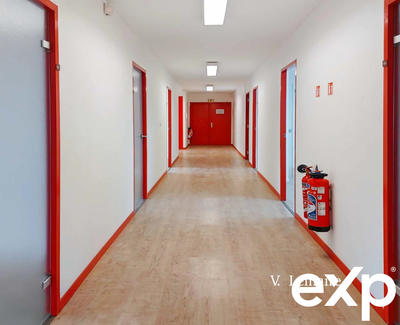 Bureau - 210 m² - 10 pièces