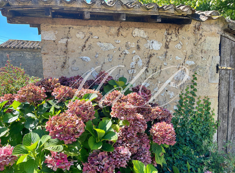 Maison de campagne - 430 m² - 10 pièces