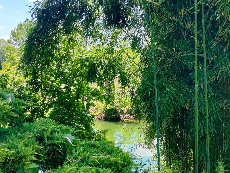 Maison - 233 m² - 9 pièces