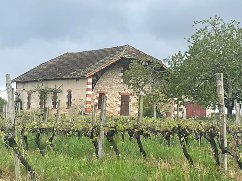 Appartement - 131 m² - 4 pièces