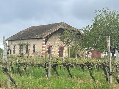 Appartement - 131 m² - 4 pièces