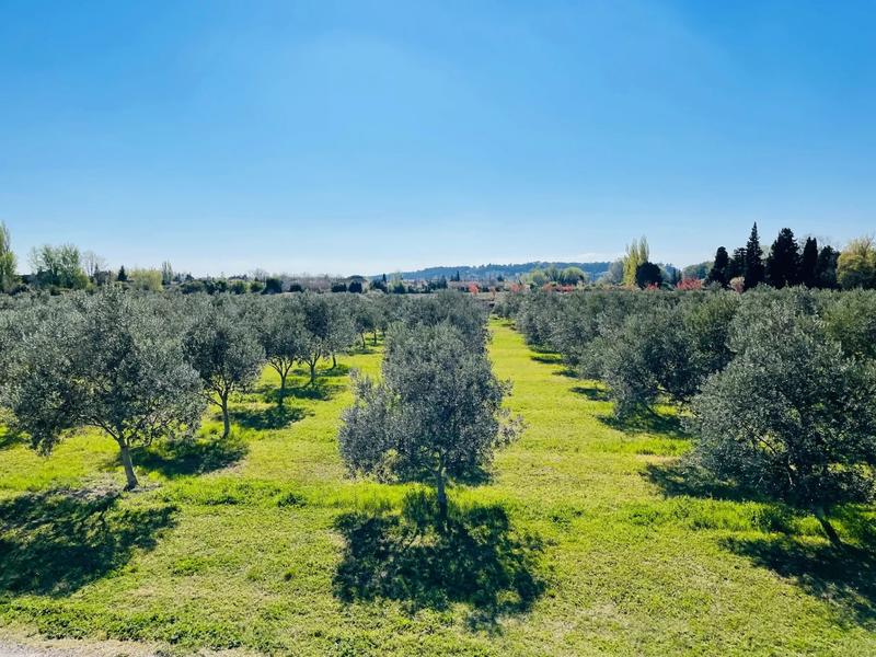 Propriété - 684 m² - 15 pièces