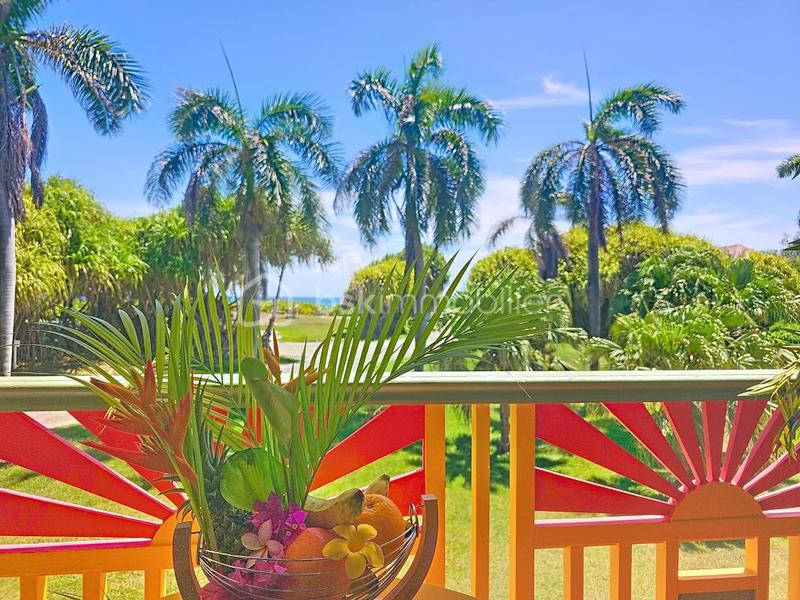 Studio - 20 m² - 1 pièce