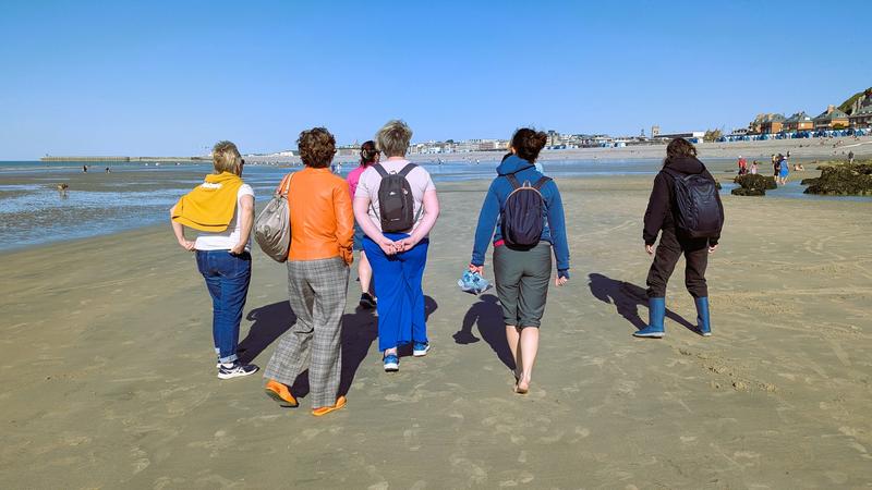 Balade nature - le littoral à marée basse