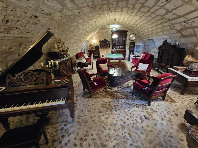 Château - 350 m² - 10 pièces