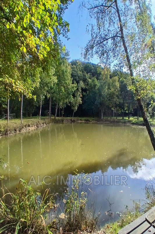 Terrain de loisirs - 23 520 m²