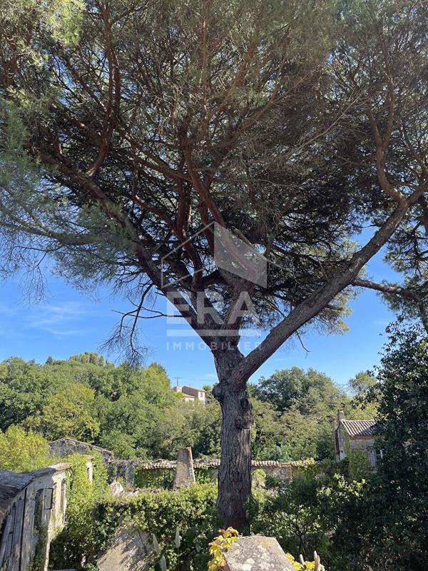 Demeure - 900 m² - 14 pièces