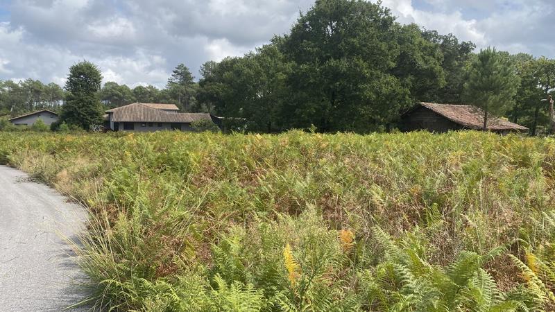 Terrain constructible - 1 350 m²