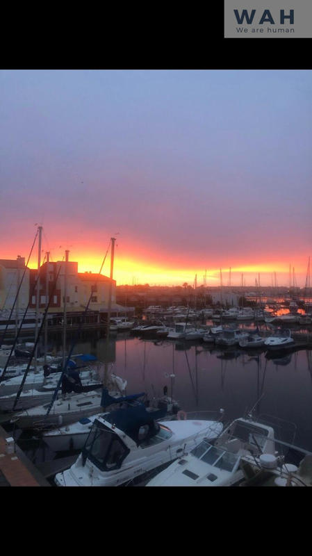 Appartement - 29 m² - 1 pièce