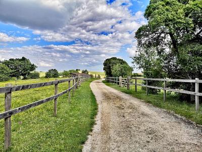 Maison de domaine équestre - 294 m² - 9 pièces