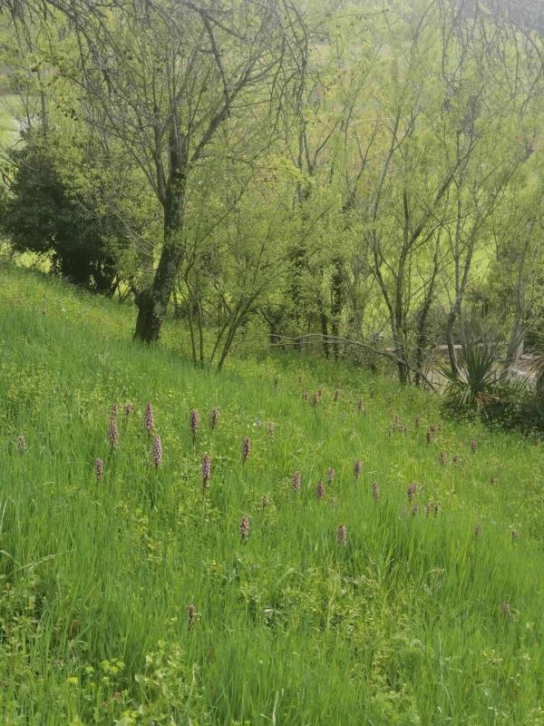 Maison - 136 m² - 6 pièces