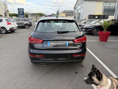 Audi Q3 2.0 Tdi 184 Quat s tronic Ambition Luxe