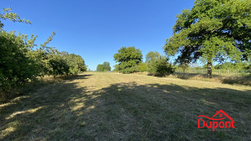 Terrain agricole - 10 000 m²