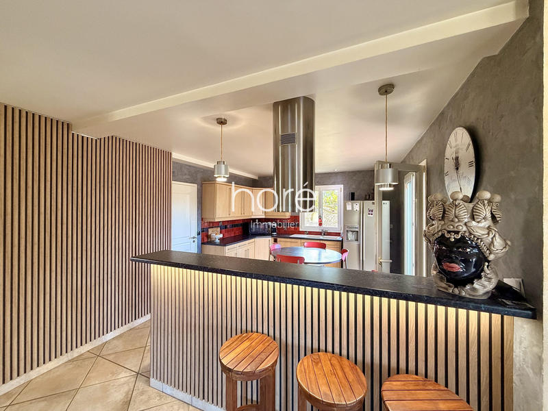 Maison - 230 m² - 6 pièces