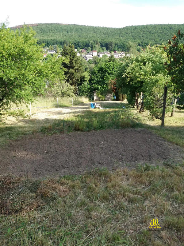 Terrain - 650 m²
