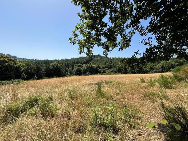 Propriété - 162 m² - 8 pièces