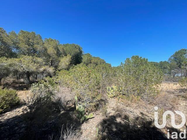 Terrain - 13 930 m²