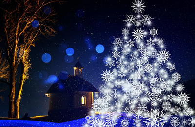 Marché de Noël &amp; vente de sapins