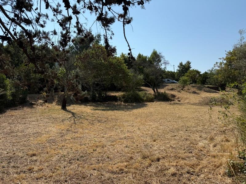Terrain constructible - 1 270 m²