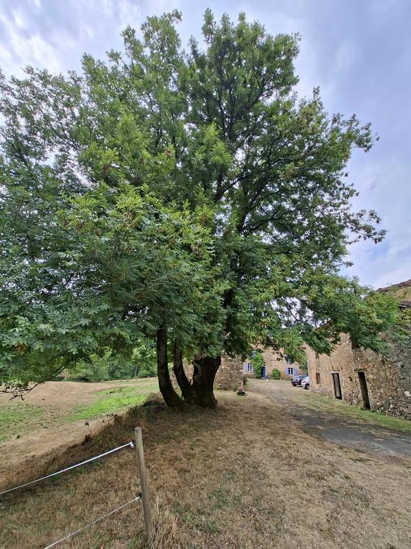 Maison - 225 m² - 7 pièces