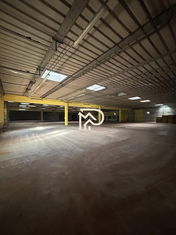 Entrepôt - 3 000 m²