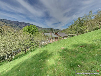 Maison - 272 m² - 9 pièces