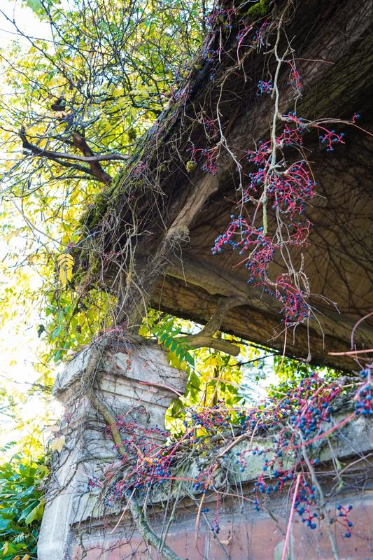 Villa - 311 m² - 15 pièces